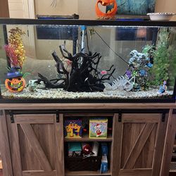 Fish Tank Complete Set Up 