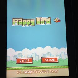 Rare iPad 3 64GB With Original Flappy Bird No Longer on AppStore!