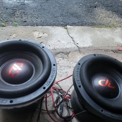 Dd Audio 10 Inch Subwoofer 610f
