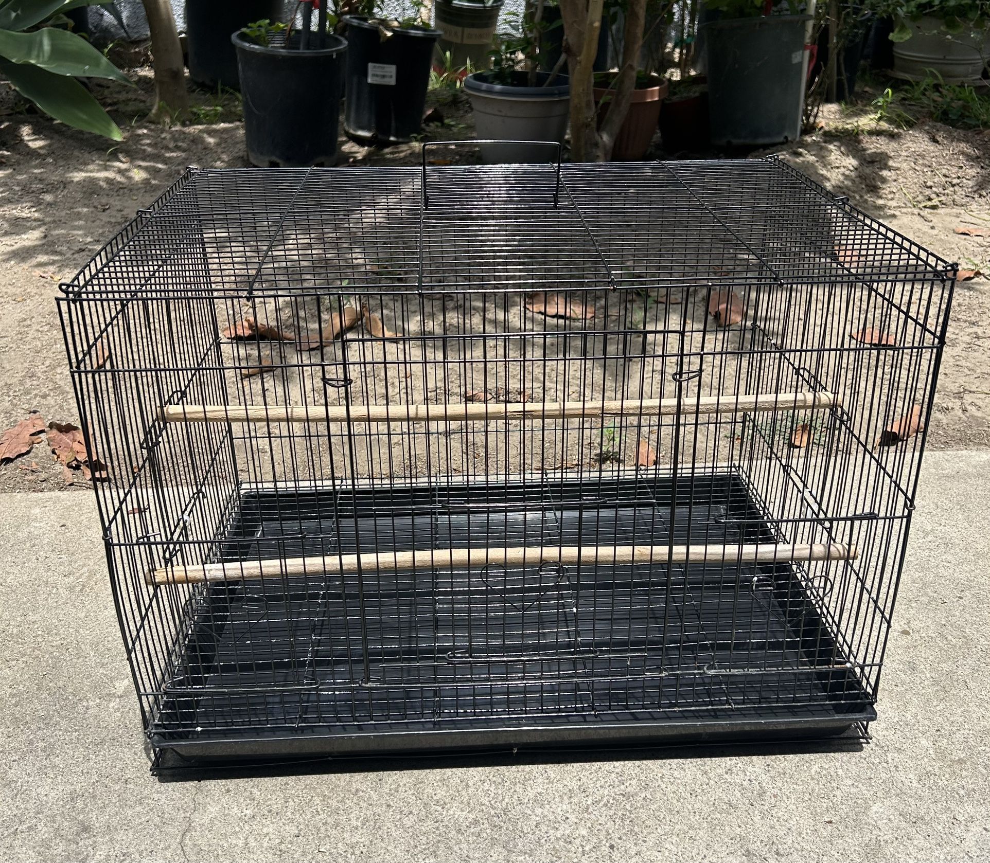 Black Bird Cage