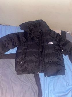 North face puffer 550