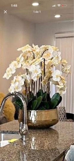 White Orchid Arrangement in Gold Bowl