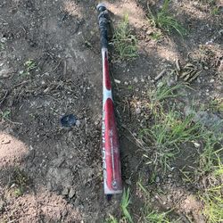Bat