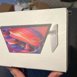 Dell 24 Inch Monitor