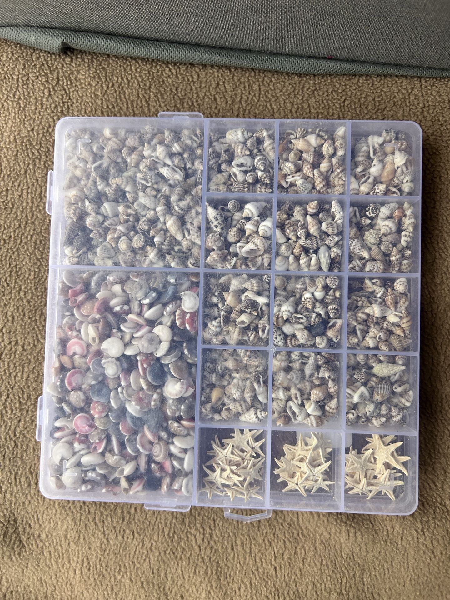 PPCLION 60pcs Tiny Starfish 1800 Pcs Tiny Mini Small Sea Shells for Crafting Spiral Conch Shells for Crafts Charms for Home Decorations Candle Decor D