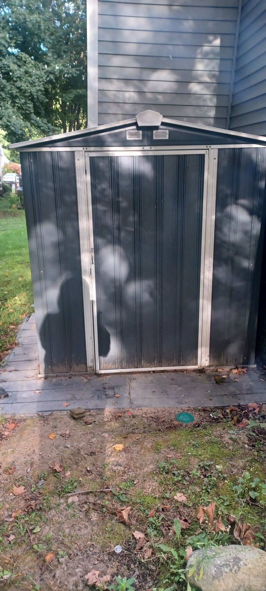 Shed