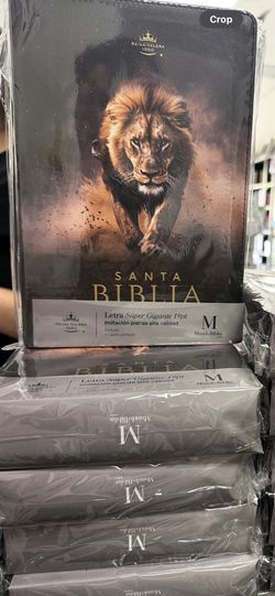 Biblias Con Letra super Gigante