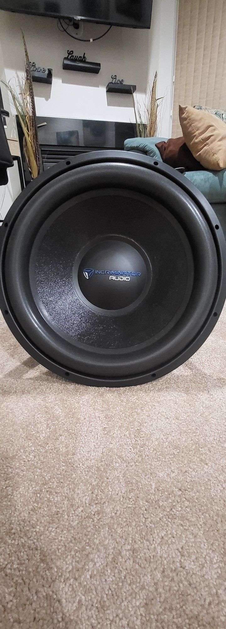 Incriminator Audio Warden