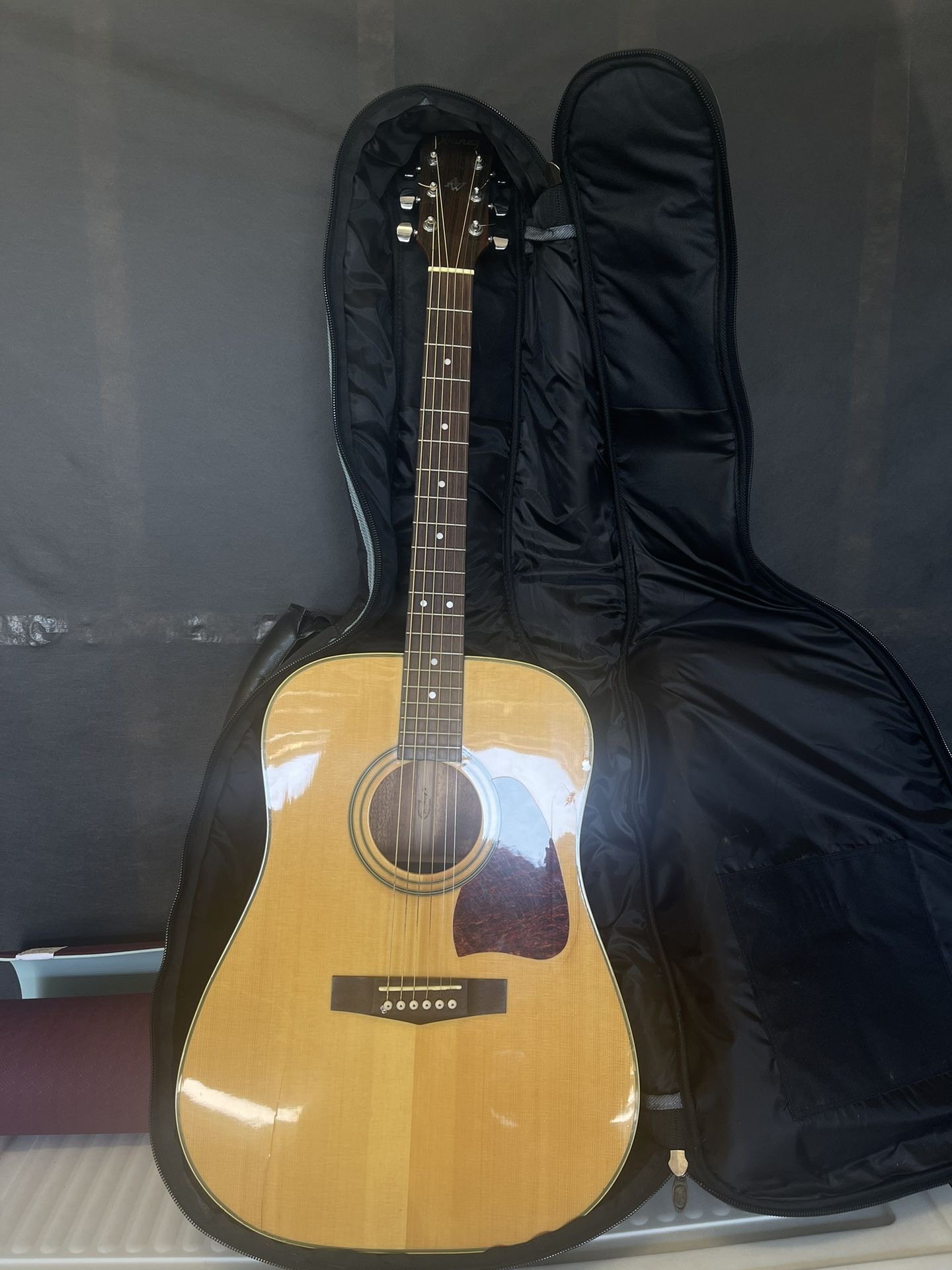 IBANEZ AW100 (Acoustic Guitar)