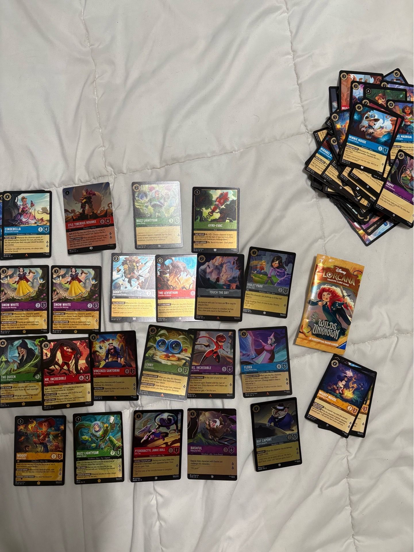 Disney wilds unknown cards