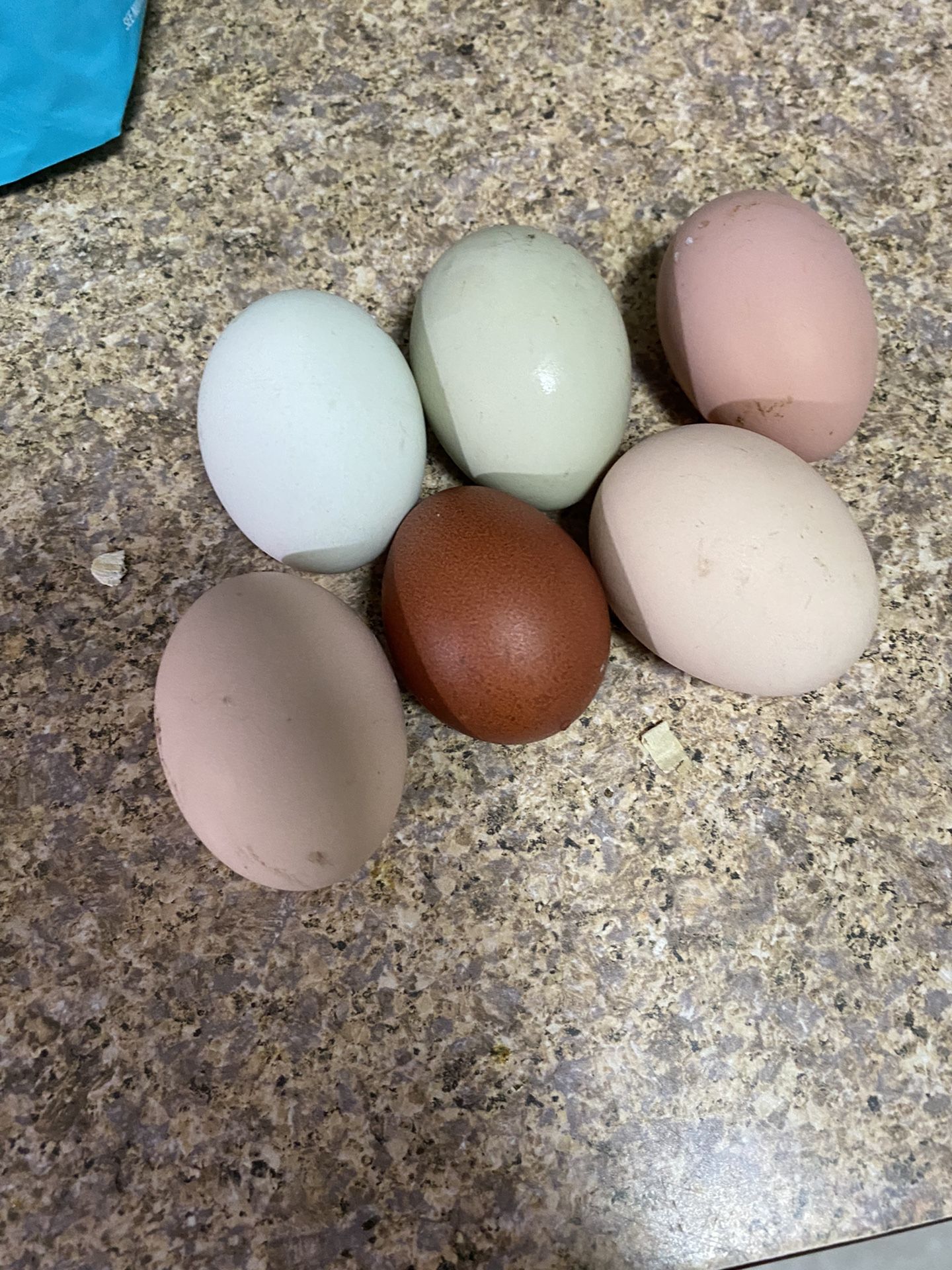 Fresh Farm Eggs 🥚