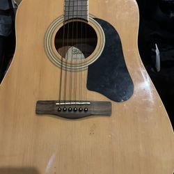 Guitars 