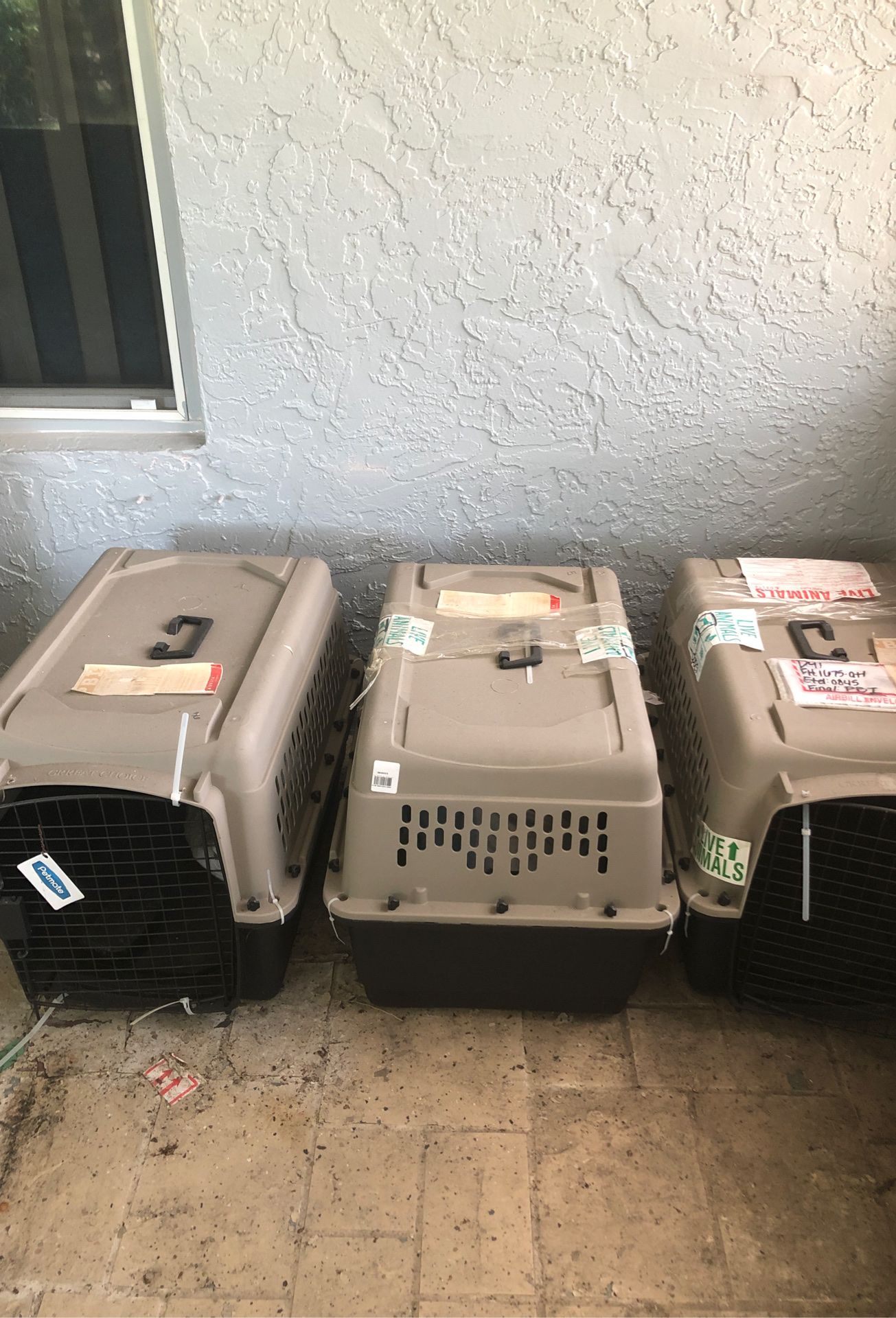 Pet Smart bought dog kennels for medium size dogs up to about 30 pounds in weight for the dog I have three of them only used once $60 for all three