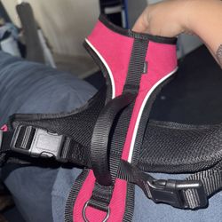 Brand New Small Harness. 