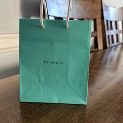 Tiffany & Co Gift Bag 