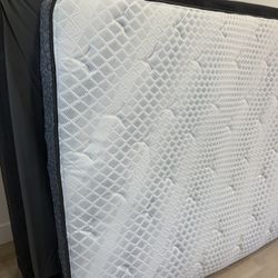 Queen Size Mattress and Box Spring Set Crate & Barrel