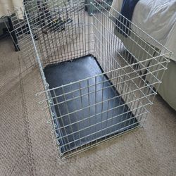 24x44  Heavy Duty Dog Crate Assembly Required Of Course 