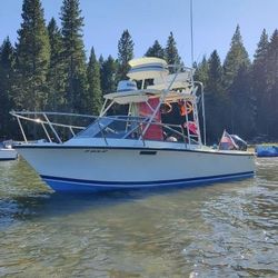 Seacraft 23 Potter Built Sceptre with a 2023 Yamaha 250 4 stroke