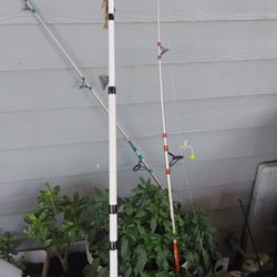 I'm Selling For 2 Fishing Pole 45.00 Dollars 