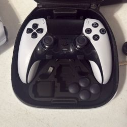 Ps5 Edge Scruff Controller 