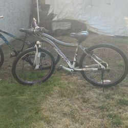 Mountain bike