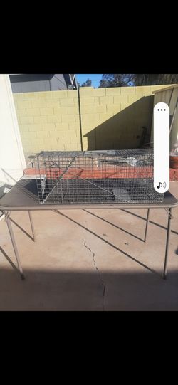 🦊🐺 MEDIUM Animal Trap