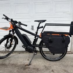 Riese & Mueller Multicharger E-Bike 