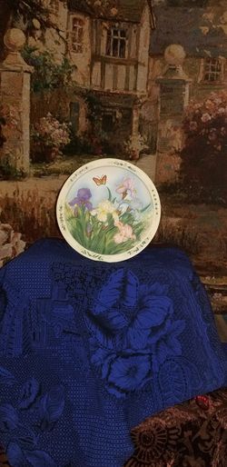 THE IRIS GARDEN