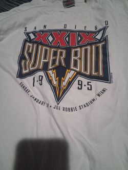 Super bowl xxix