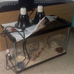 Pet Aquarium