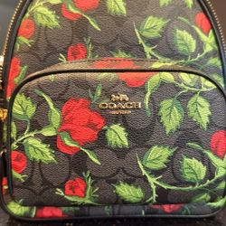 Super Cute Coach Mini Backpack 