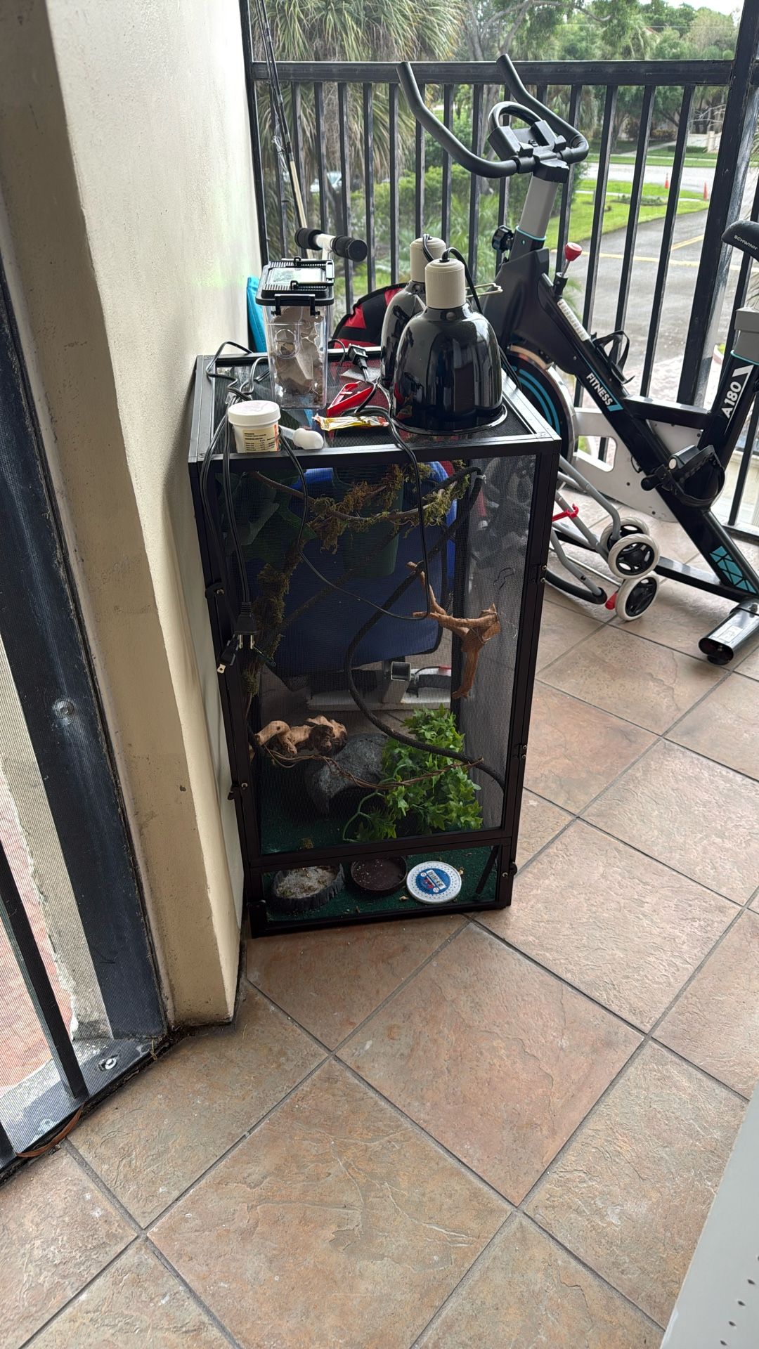 Chameleon / Reptile Cage