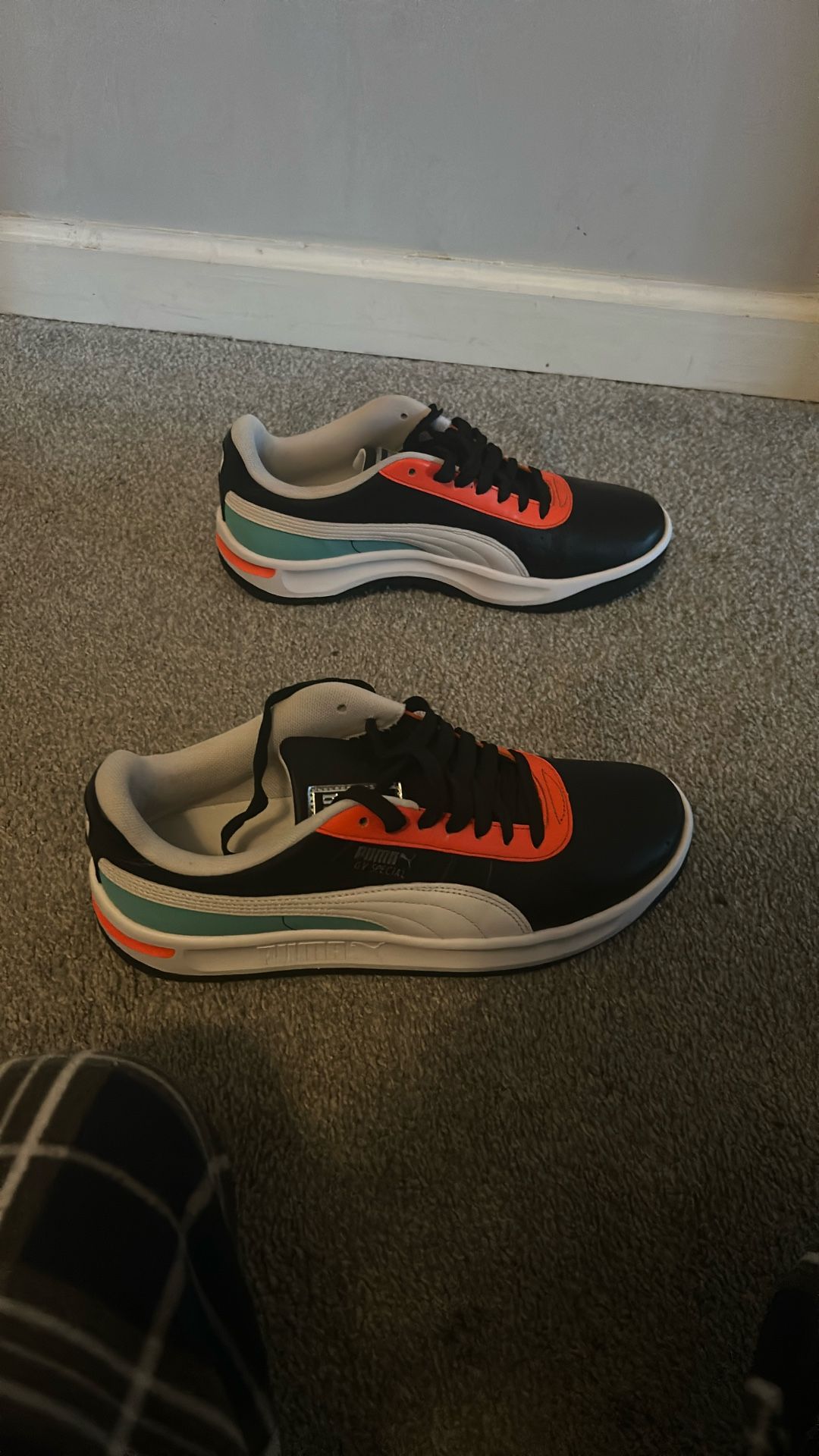 Puma