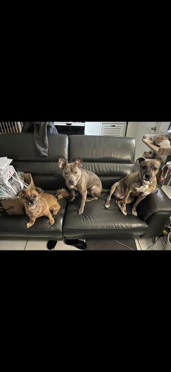 Three Seater Recliner Sofa