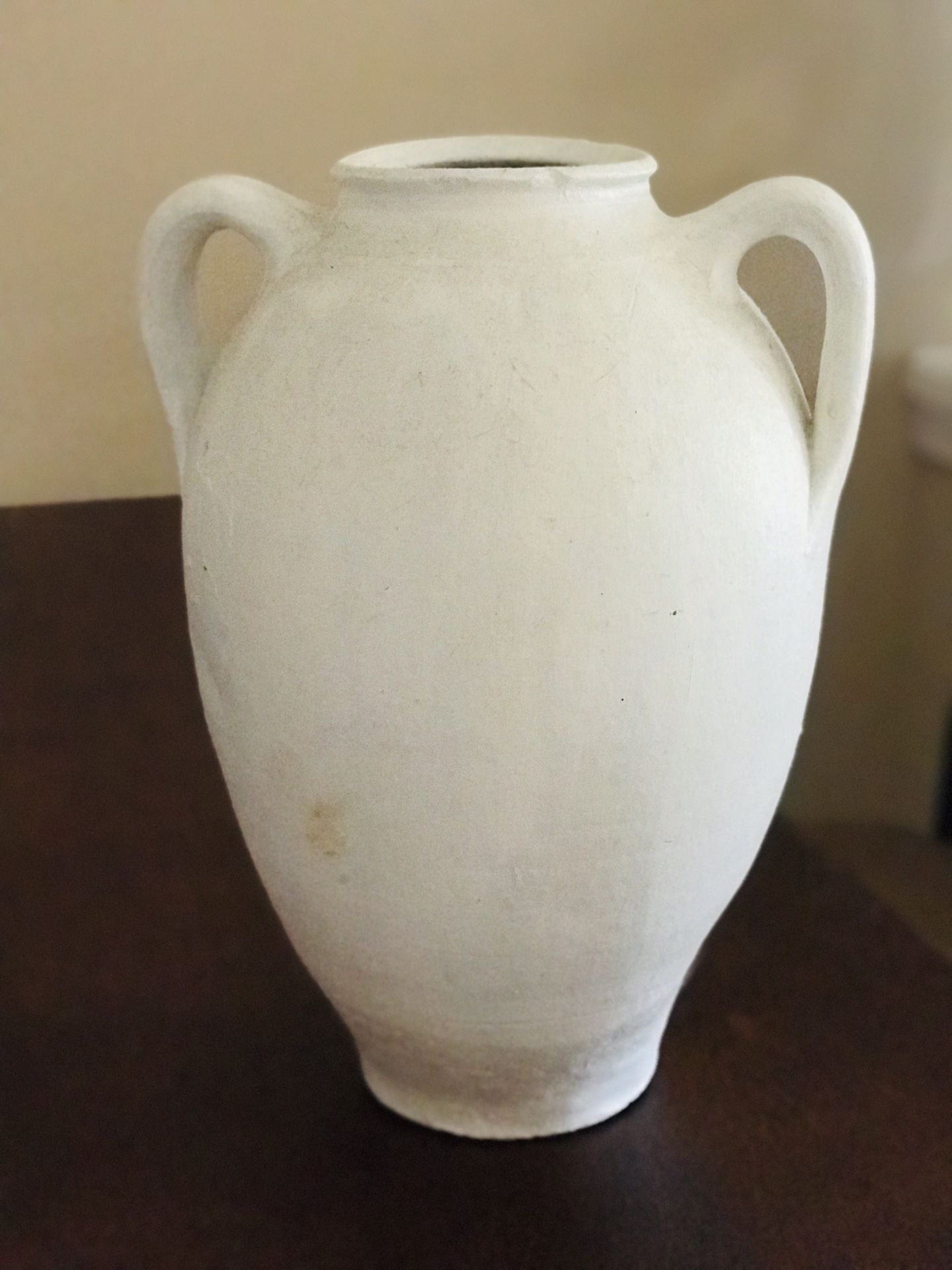 White trendy rustic double handle flower vase
