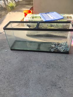 55 Gallon Reptile Aquarium Free