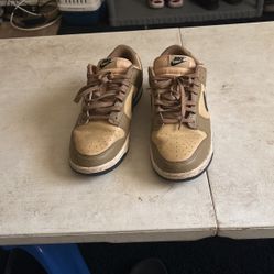 10.5 Nike Low top retro 