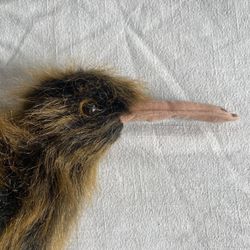 KIWI BIRD BEANIE NEW!! 