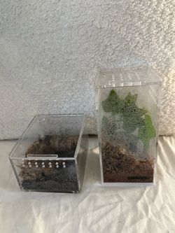 Tarantula Enclosures