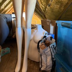 Full Female Mannequin With Head, Stand And Arms From lord And Taylor