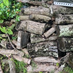 Dry Wood From Mango Tree For Woodworking 