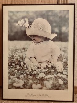 Betsy Cameron Peek-A-Boo wall art