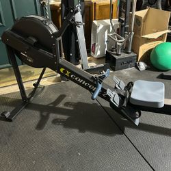 Rogue Concept 2 RowErg
