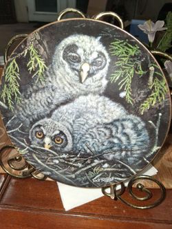 Dick Twinney Owl Collector Plate