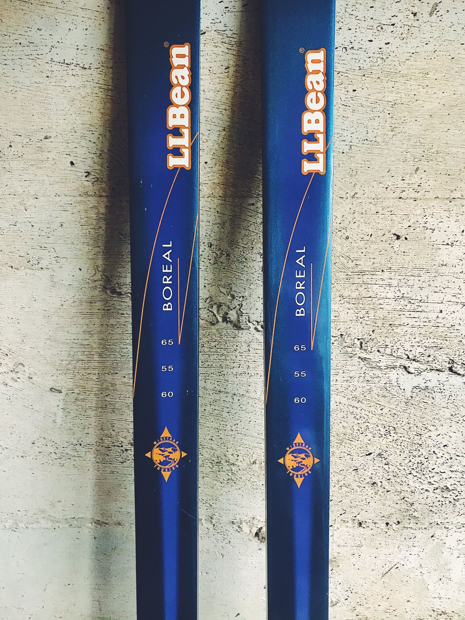 LL Bean Boreal Cross Country Nordic XC Skis 175 cm (+ Poles) for Sale