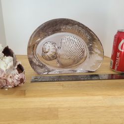 Beach Seashell Glass Decor Lot