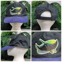 Vtg Twins Enterprise Tampa Bay Devil Rays Snapback Hat