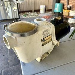 Pentair Whisperflo Pool Pump