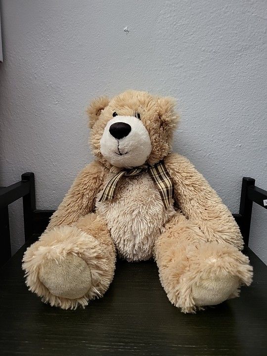 Preowned 2009 Toys 'R Us Animal Alley Plush Teddy Bear 14"
