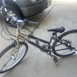Trek Navigator 200 hybrid bike Womens 